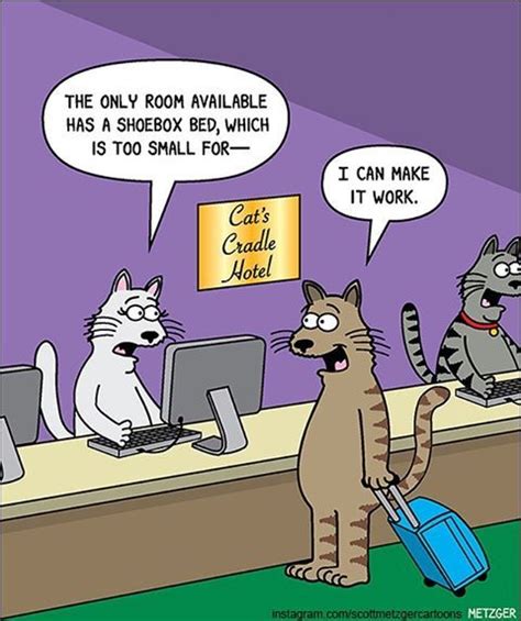 Fresh And Funny Cat Comics By The Brilliant Scott Metzger | Cats funny cartoon, Crazy cats, Cat ...