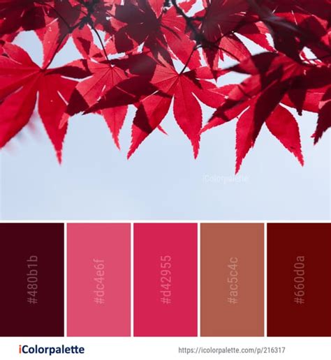 Red Color Palette | OFFEO