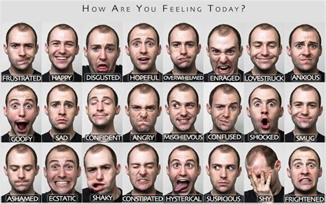 Facial Expression Emotions - Gay And Sex