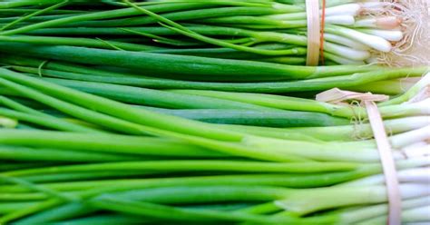 6 Best Scallions Alternatives That Are Flavorful, Easy to Find and Use - Fitibility