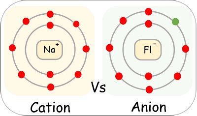 Cation And Anion