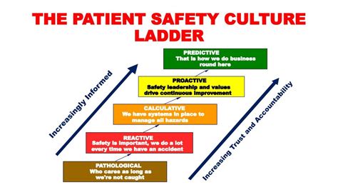 Patient safety culture