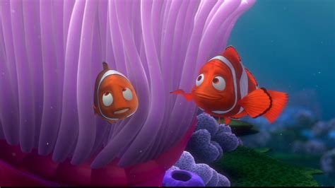 Finding Nemo - Disney Photo (33585939) - Fanpop