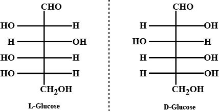 Draw Fischer projection of D - Glucose & L - Glucose.