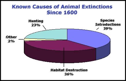 Why Animals are Going Extinct