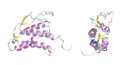 Difference Between Cytokines and Interleukins | Compare the Difference Between Similar Terms