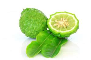 10 Recipes with Bergamot Essential Oil – Citrus bergamia | suzannerbanks