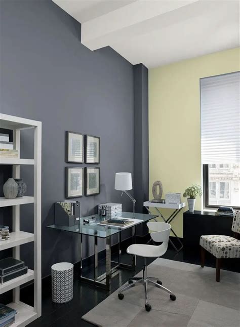 21+ Best Home Office Paint Color Ideas that Will Inspire You