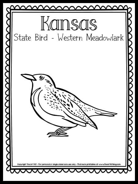 Kansas State Bird Coloring Page (Western Meadowlark!) {FREE Printable ...