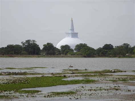 Anuradhapura - Ruwanwelisaya Stupa (4) | Anuradhapura | Pictures | Sri Lanka in Global-Geography