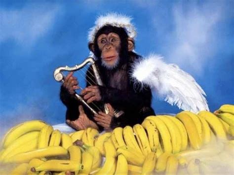 New Monkey Werx: The Power of Prayer! Monkey Mission In Truth News ...