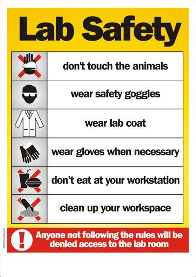 Safety Poster - Lab Safety | | Lab safety, Science lab safety, Science ...