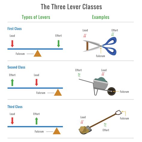 Different types of levers with examples vector illustration 23452904 Vector Art at Vecteezy