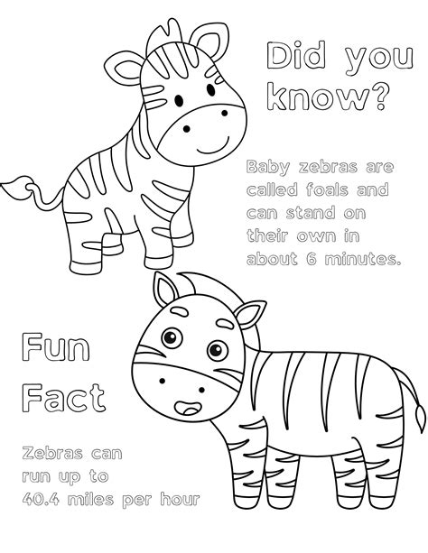 Cartoon Zebra Coloring Pages