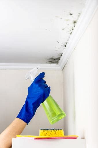 Cleaning Mold From Bathroom Ceilings Like a Pro | LoveToKnow