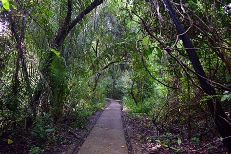 Hiking Manuel Antonio National Park - Costa Rica Guide