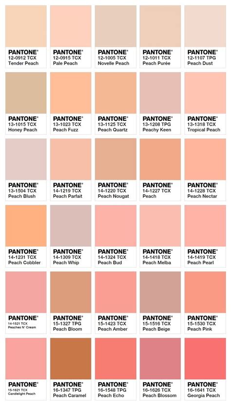 Peach Color Shades Paint – Warehouse of Ideas