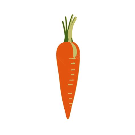 Carrot Transparent Image Vector, Carrot, Vegetable, Carrot Logo PNG and ...