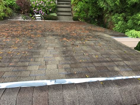 Zinc Strips: Do They Work? — Coastal Roof Cleaning Experts