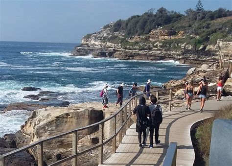 Rough around the edges: The Bondi to Coogee Coastal Walk – On The Go Solo