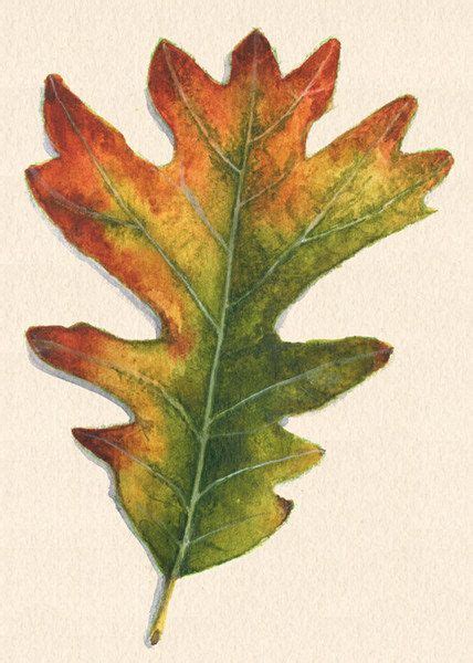 Fall Oak Leaf Art Print of Watercolor Painting by SaylorWolfWorks, $4.75 | Autumn leaves art ...