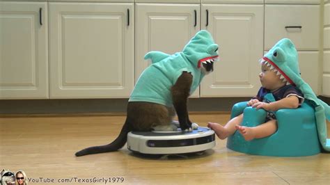 Cat Wearing a Shark Costume Entertains Baby Also Dressed as a Shark by Riding a Roomba Vacuum in ...