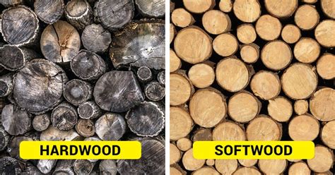 This Is The Difference Between 'Hardwood' And 'Softwood' (It Has Nothing To Do With Hardness ...