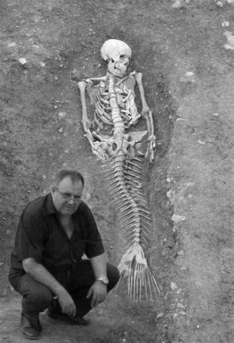 Mermaids? | Real mermaids, Real life mermaids, Mermaid skeleton