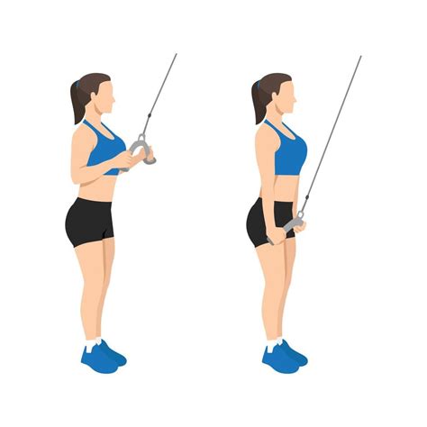 Woman doing cable rope tricep pull down or push exercise. Flat vector illustration isolated on ...