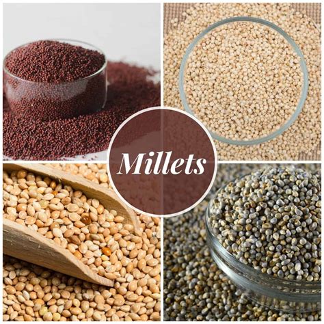 What Are Millets? Types Of Millets, Health Benefits, Millet, 50% OFF