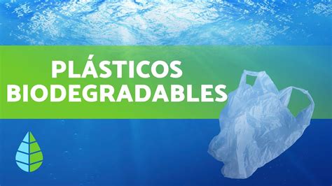 ¿Qué son los PLÁSTICOS BIODEGRADABLES? - YouTube