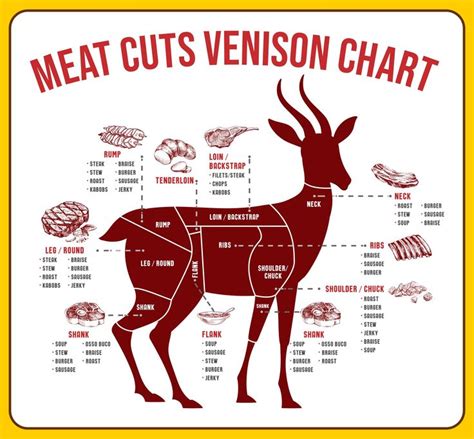 Meat Cutting Diagram