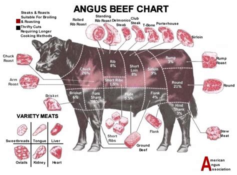 Beef Cuts Chart | Grill Thrill