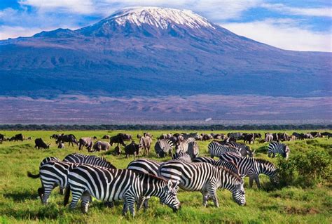 2 days Amboseli National Park - ELKY TOURS & TRAVEL KENYA