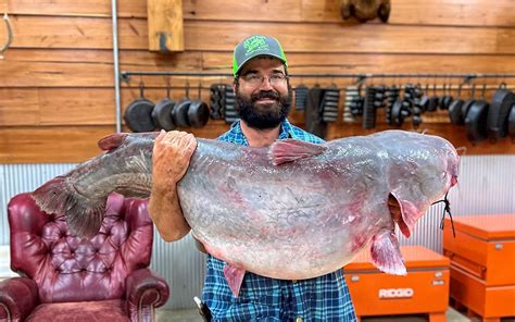 Trotline Fisherman Catches 104-Pound Mississippi State Record Blue Catfish - Coastal Angler ...