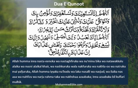 Dua e Qunoot with English Translation - Muhammadi Site