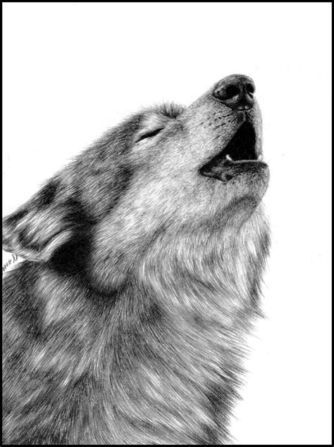 Shadow of the Moon by Vanare on DeviantArt Pencil Drawings Of Animals, Wolf Drawings, Wolf Stuff ...