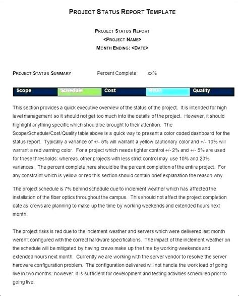 Professional Project Summary Report Template