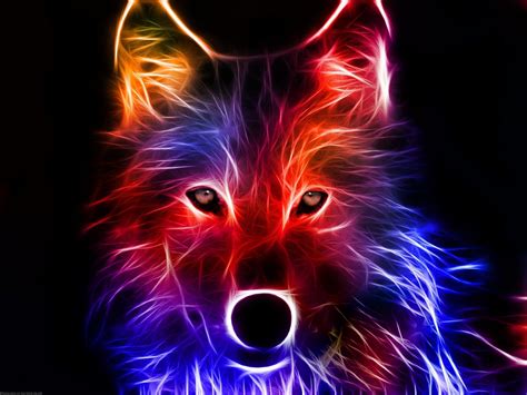 Neon Animals Wallpapers - Wallpaper Cave