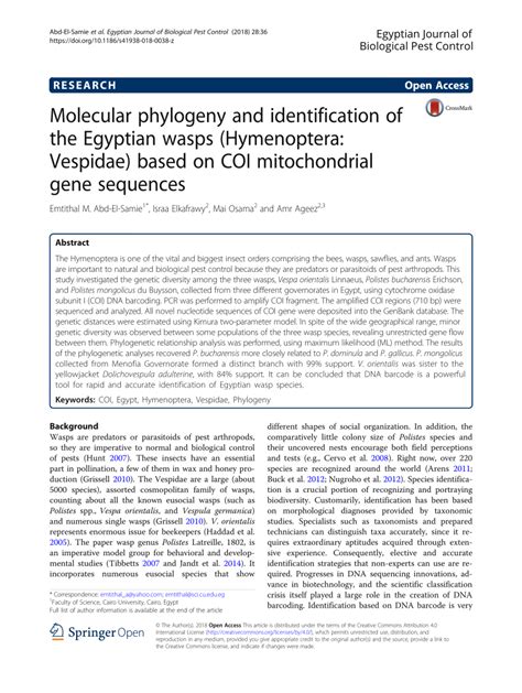 (PDF) Molecular phylogeny and identification of the Egyptian wasps (Hymenoptera: Vespidae) based ...