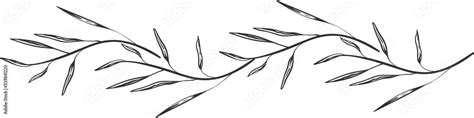 Line art floral dividers. Dividers with Branches, Plants and Flowers Stock Illustration | Adobe ...