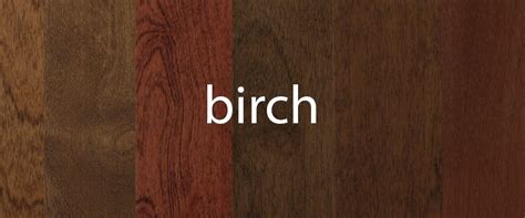 Birch Stain Samples – Freedom Valley Cabinets