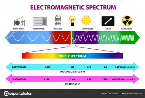 Set Electromagnetic Spectrum Diagram Radio Waves Spectrum Ultraviolet Light Diagram Stock Vector ...