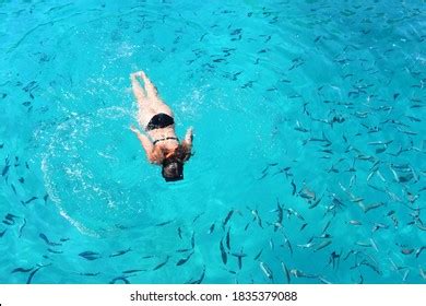 Snorkeling Fish Blue Lagoon Stock Photo 1835379088 | Shutterstock