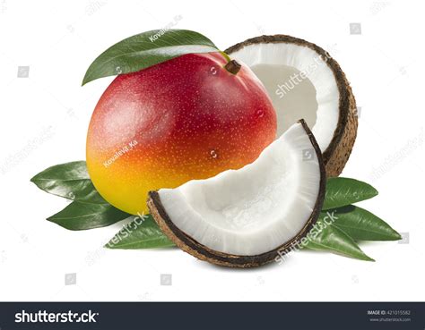 41,431 Coconut mango Images, Stock Photos & Vectors | Shutterstock