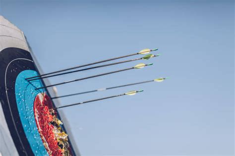 1,400+ Crossbow Targets Stock Photos, Pictures & Royalty-Free Images - iStock