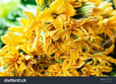 Edible Pumpkin Flowers On Market Stock Photo (Edit Now) 226304482