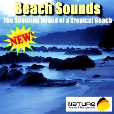 Amazon.com: Beach Sounds - The Soothing Sound Of A Tropical Beach ...