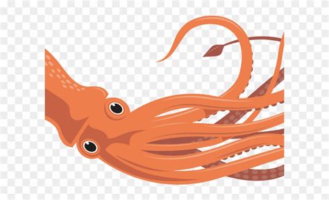 Realistic Clipart Squid - Giant Squid Clip Art - Png Download (#657290) - PinClipart