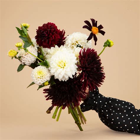 Black Dahlia Flower Bouquet